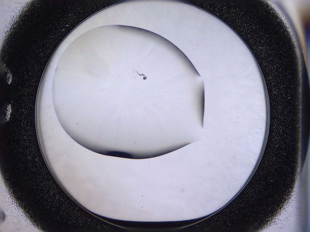 04u3_C5_ImagerDefaults_0.jpg