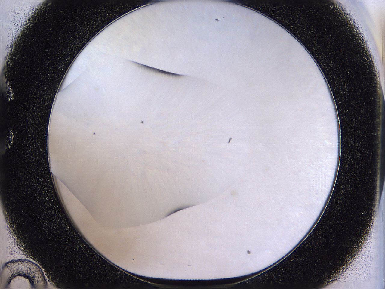 04u3_C10_ImagerDefaults_0.jpg
