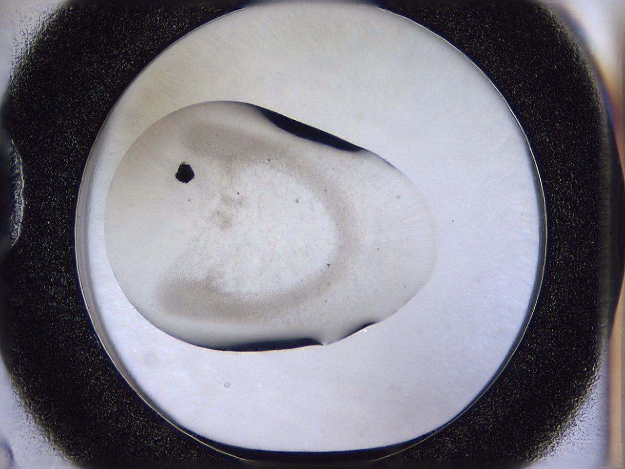 04u3_D2_ImagerDefaults_2.jpg