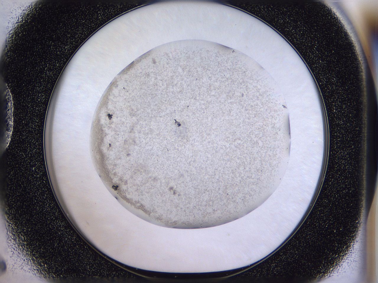 04u3_D5_ImagerDefaults_2.jpg