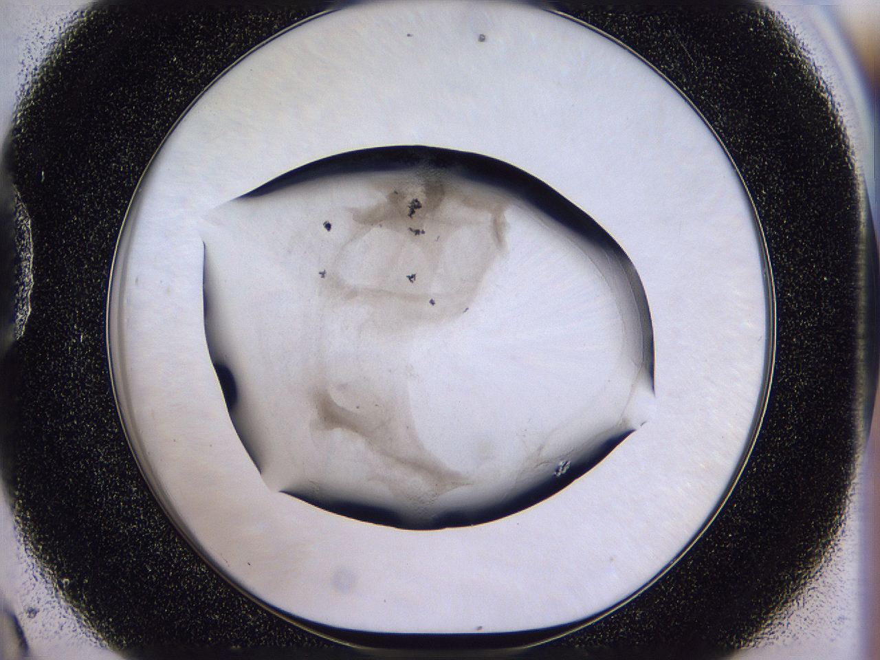 04u3_D9_ImagerDefaults_2.jpg
