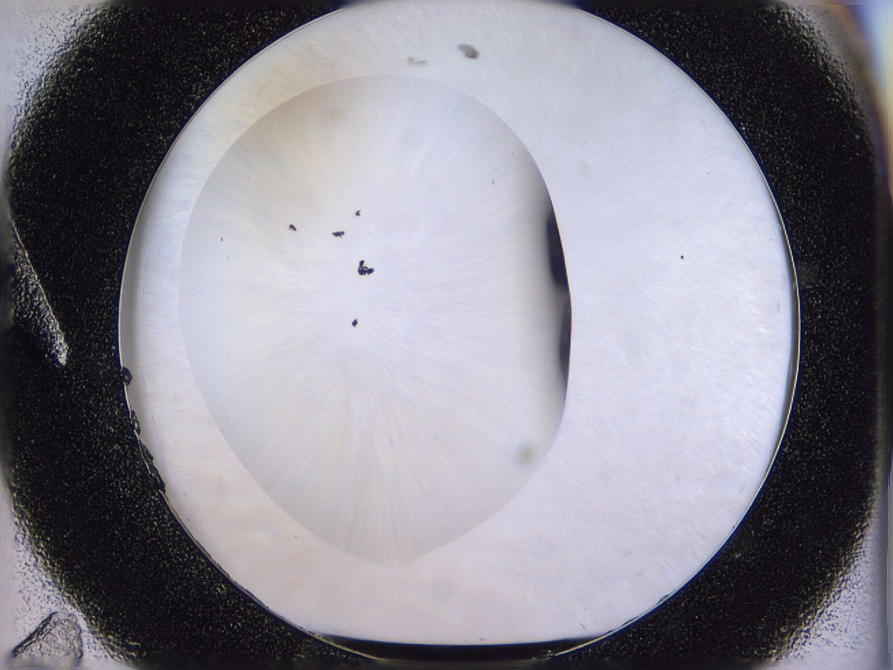 04u3_A11_ImagerDefaults_0.jpg