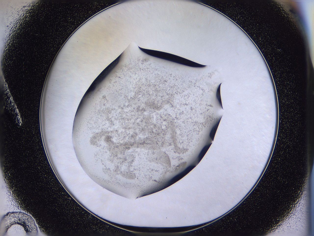 04u3_A10_ImagerDefaults_2.jpg