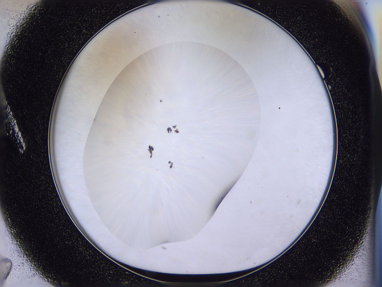 04u3_A7_ImagerDefaults_0.jpg