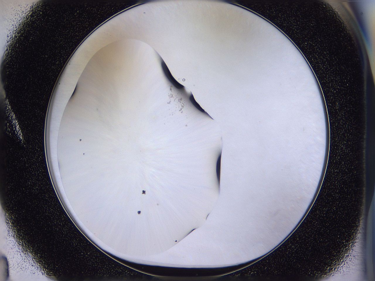 04u3_A4_ImagerDefaults_0.jpg