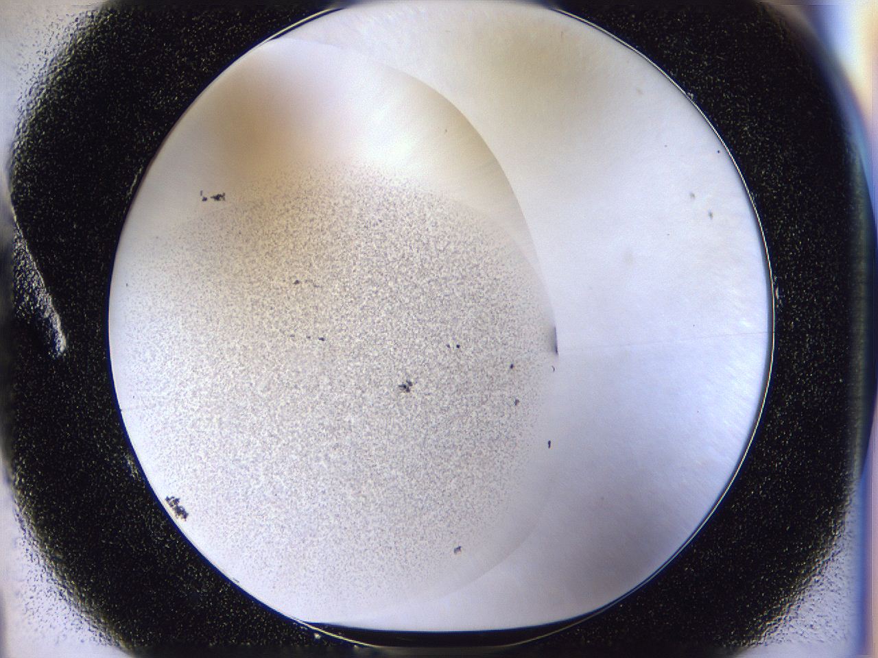 04u3_A1_ImagerDefaults_2.jpg