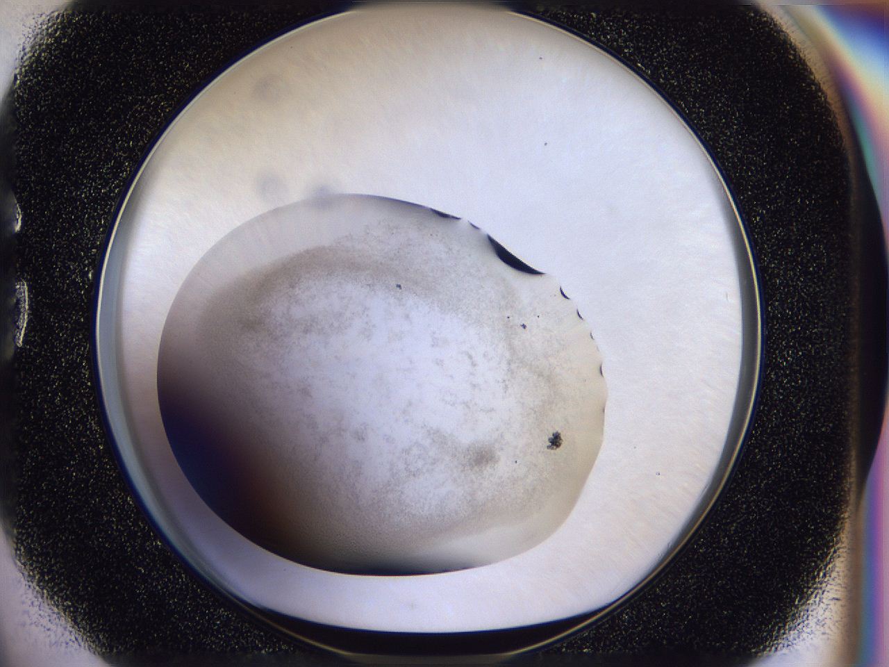 04u3_G4_ImagerDefaults_2.jpg