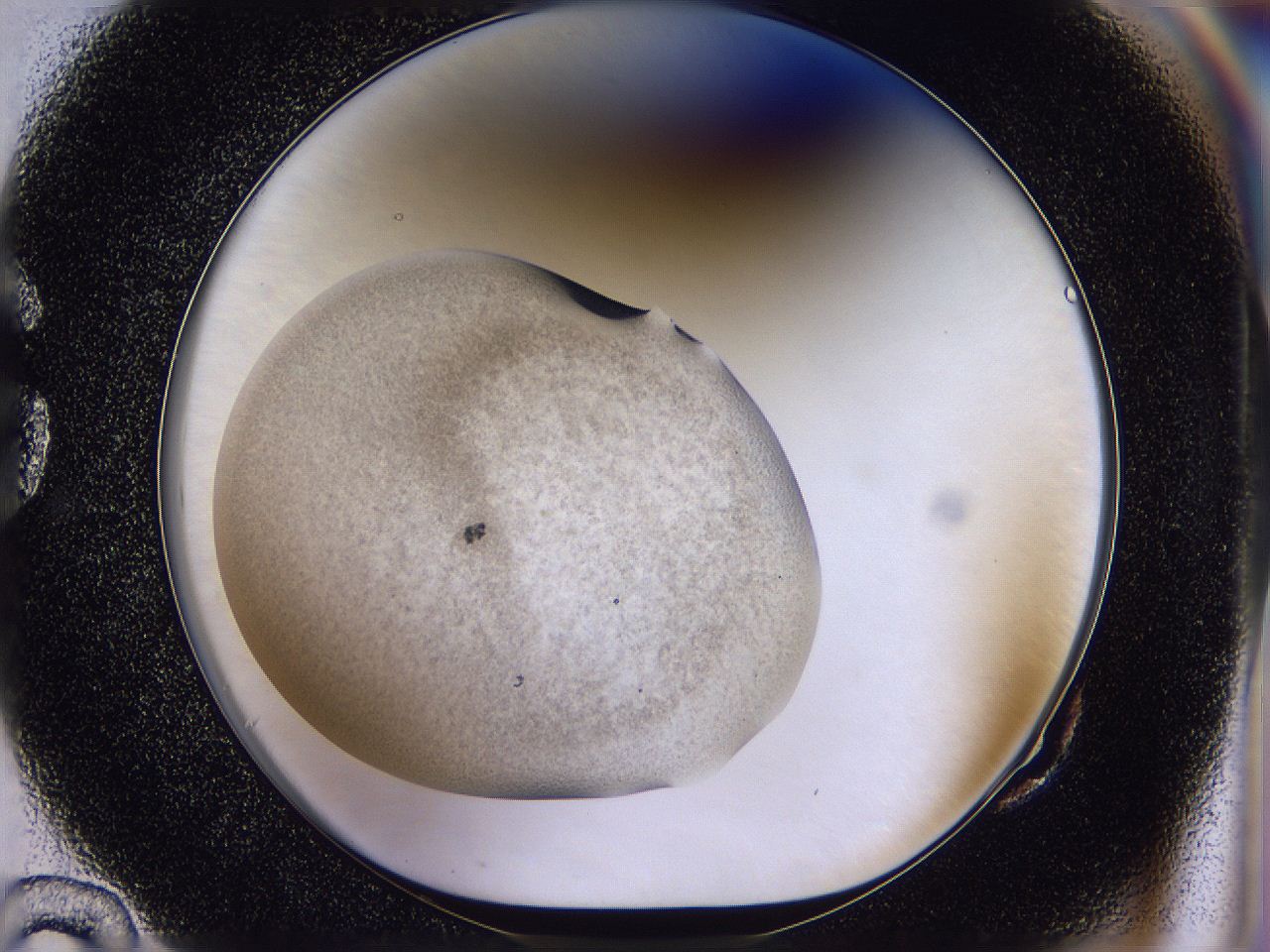 04u3_G10_ImagerDefaults_2.jpg