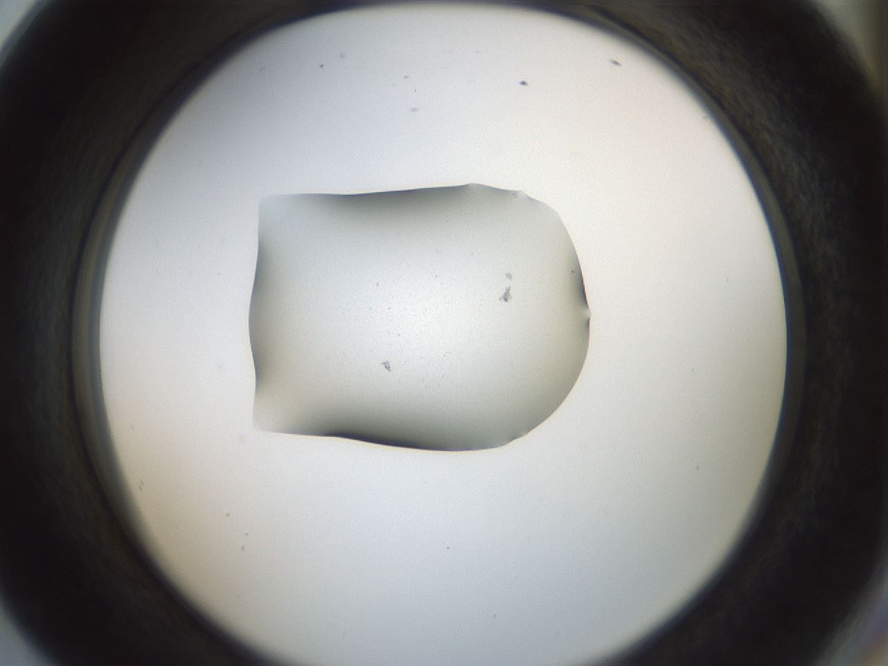 folderID248_plateID3248_batchID18230_wellNum80_profileID1_d2_r285730_ef.jpg
