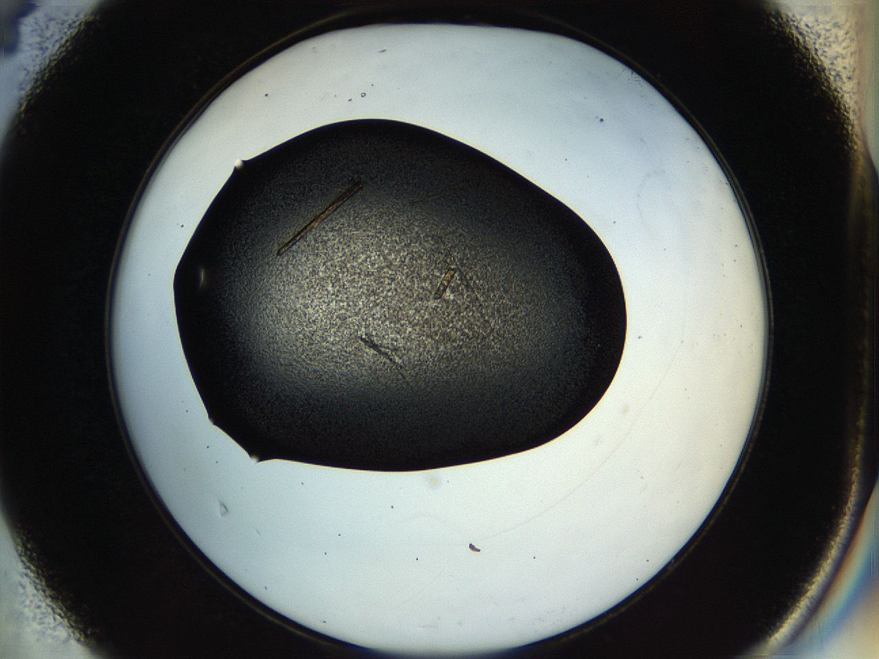 04ub_D4_HighContrast_9.jpg