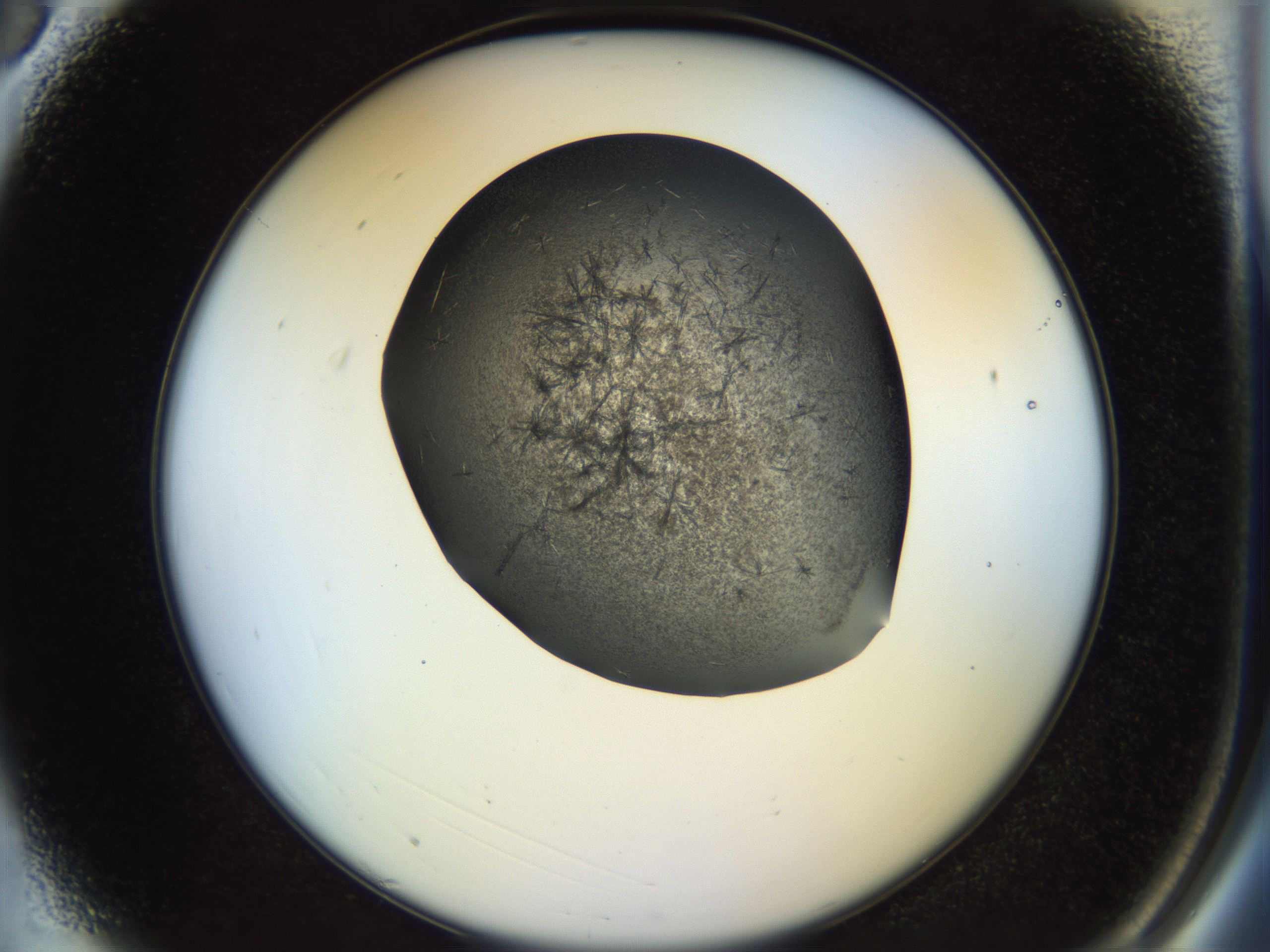 04ub_A3_HighResolution_6.jpg