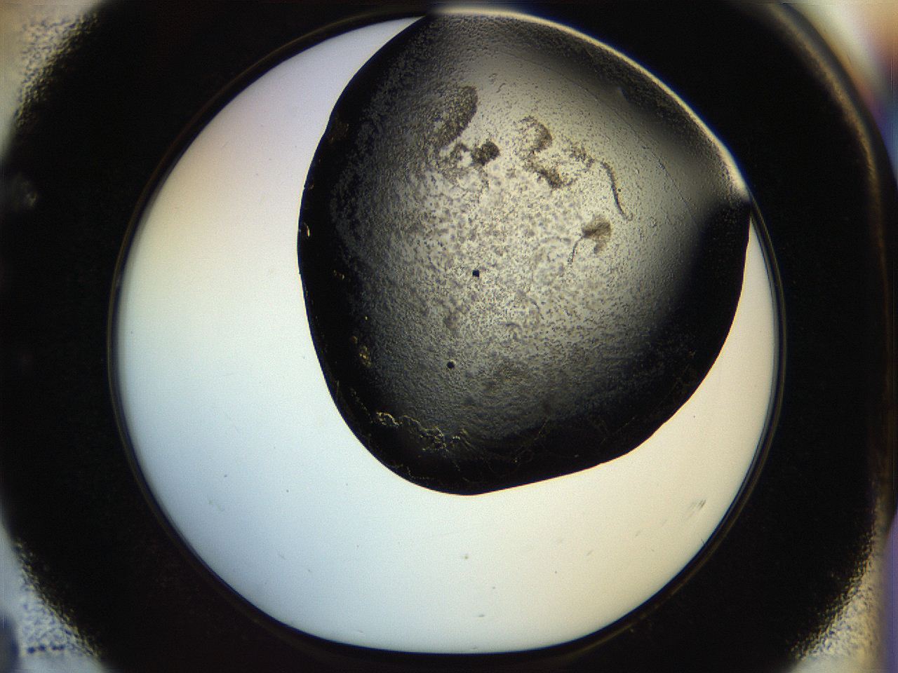 04ub_E4_HighContrast_6.jpg