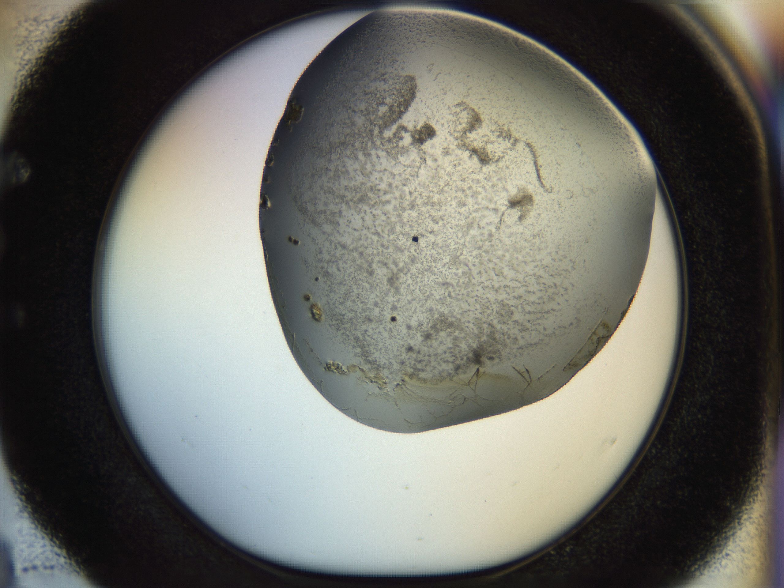 04ub_E4_HighResolution_6.jpg