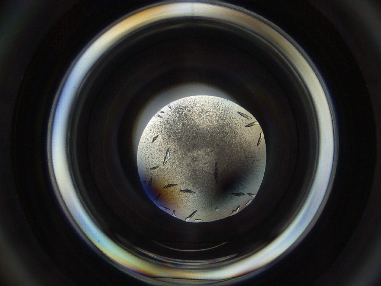 04uc_D6_ImagerDefaults_9.jpg