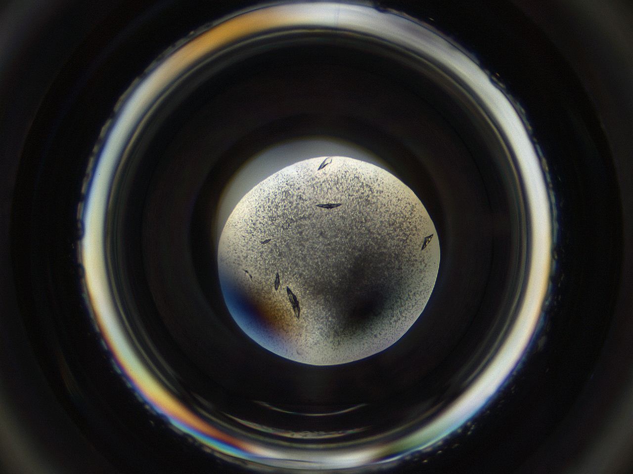 04uc_D2_ImagerDefaults_9.jpg