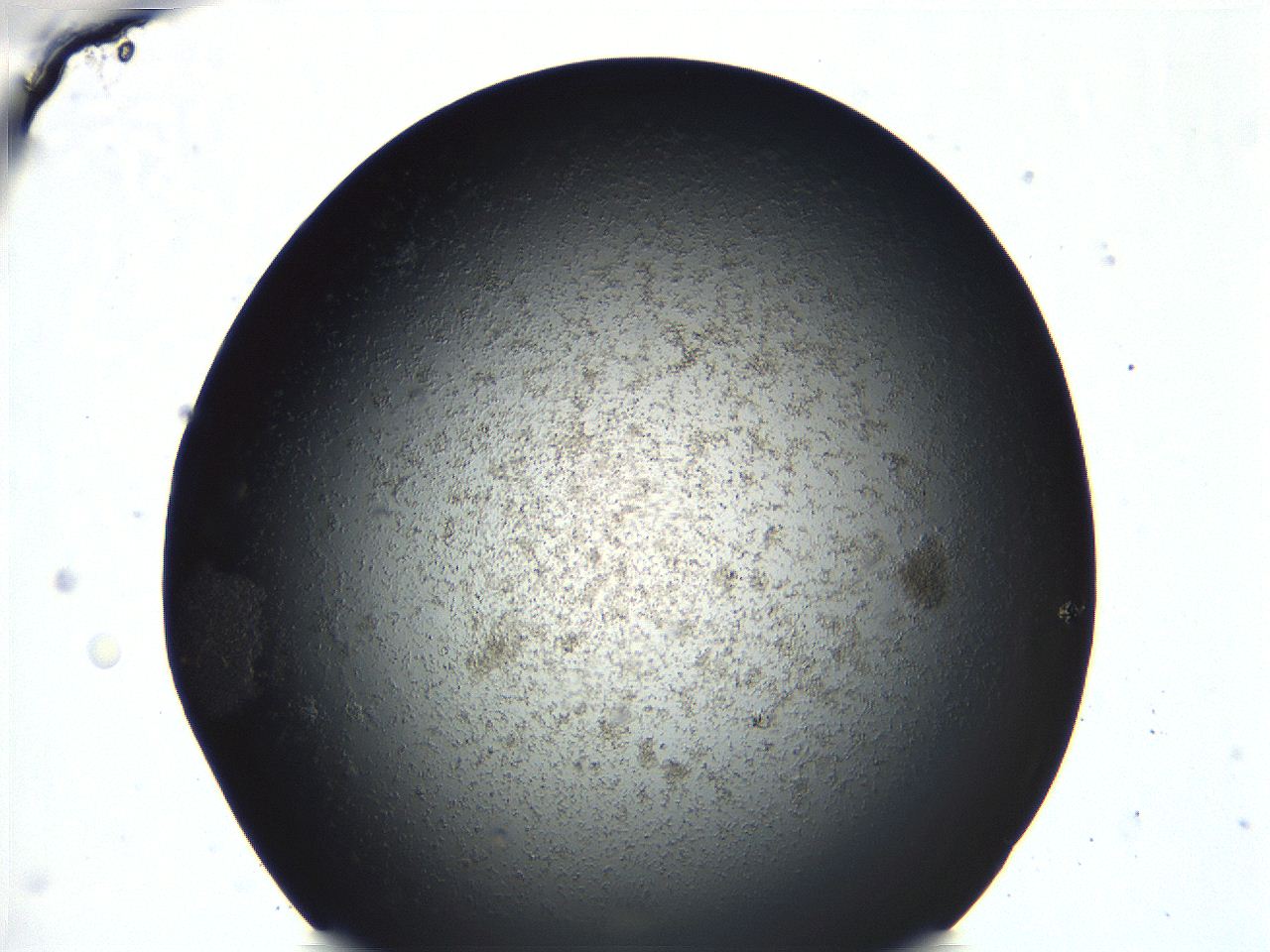 04ue_C1_ImagerDefaults_0.jpg