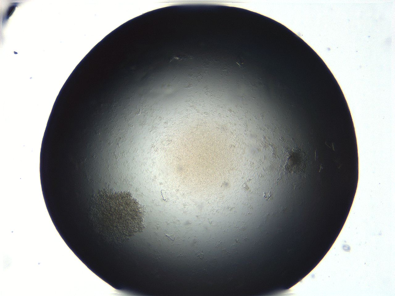 04ue_E2_ImagerDefaults_6.jpg
