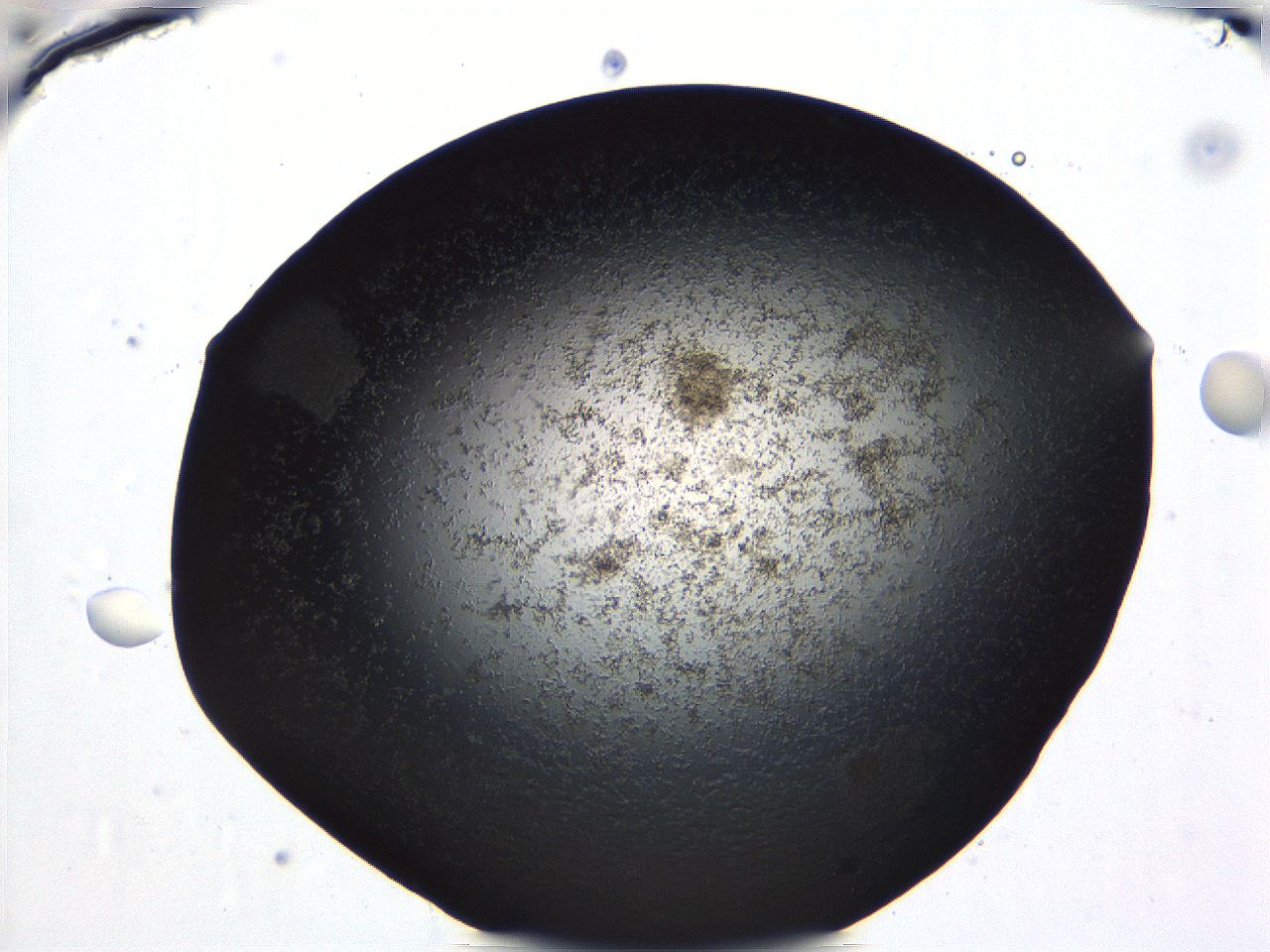 04ue_B5_ImagerDefaults_0.jpg