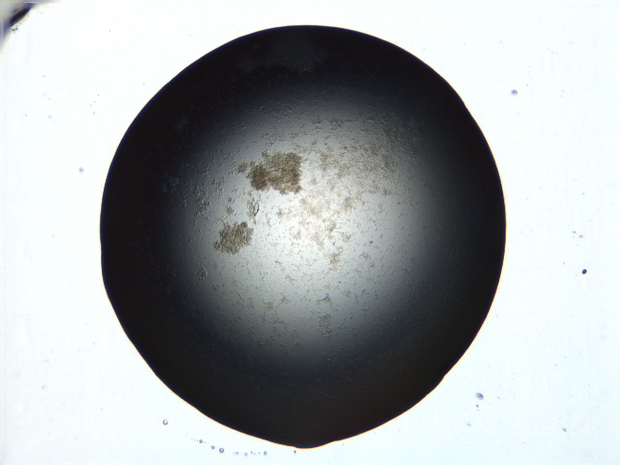 04ue_E6_ImagerDefaults_6.jpg