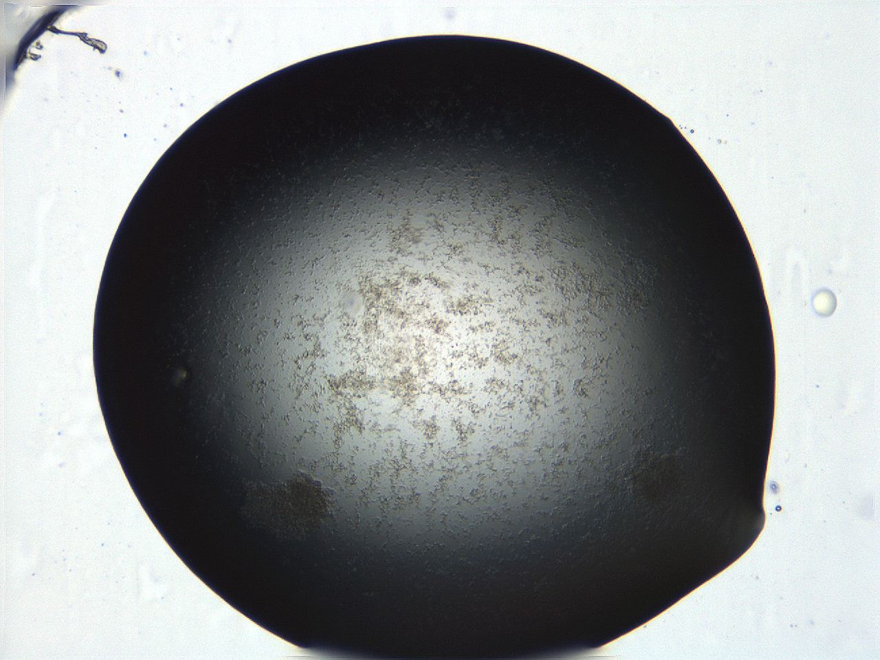 04ue_F6_ImagerDefaults_0.jpg
