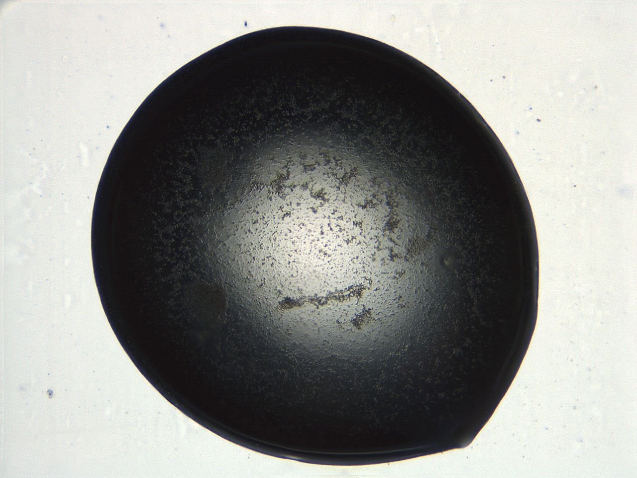 04ue_G5_ImagerDefaults_0.jpg