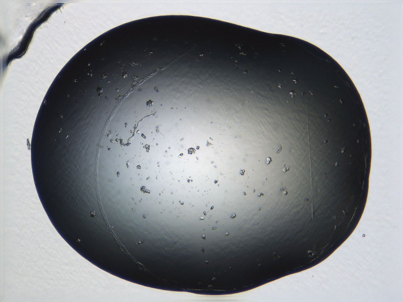 04ug_C2_ImagerDefaults_8.jpg