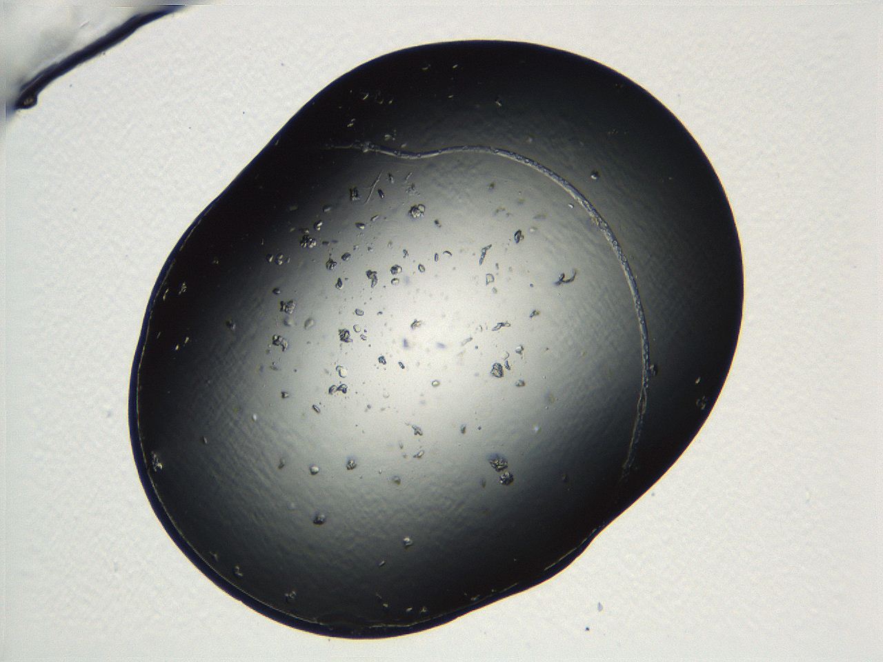 04ug_C3_ImagerDefaults_8.jpg