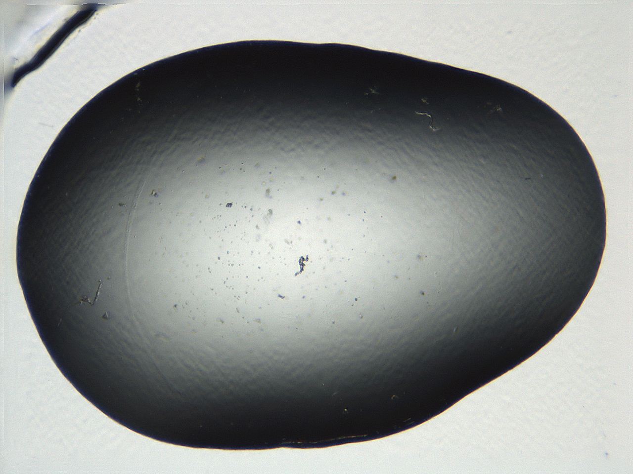 04ug_C1_ImagerDefaults_0.jpg