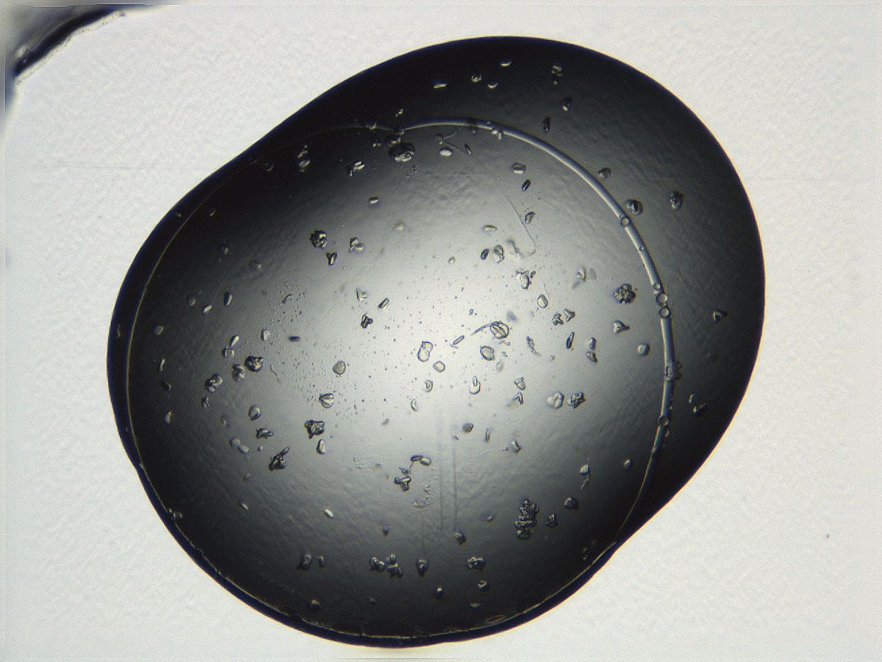 04ug_C5_ImagerDefaults_9.jpg