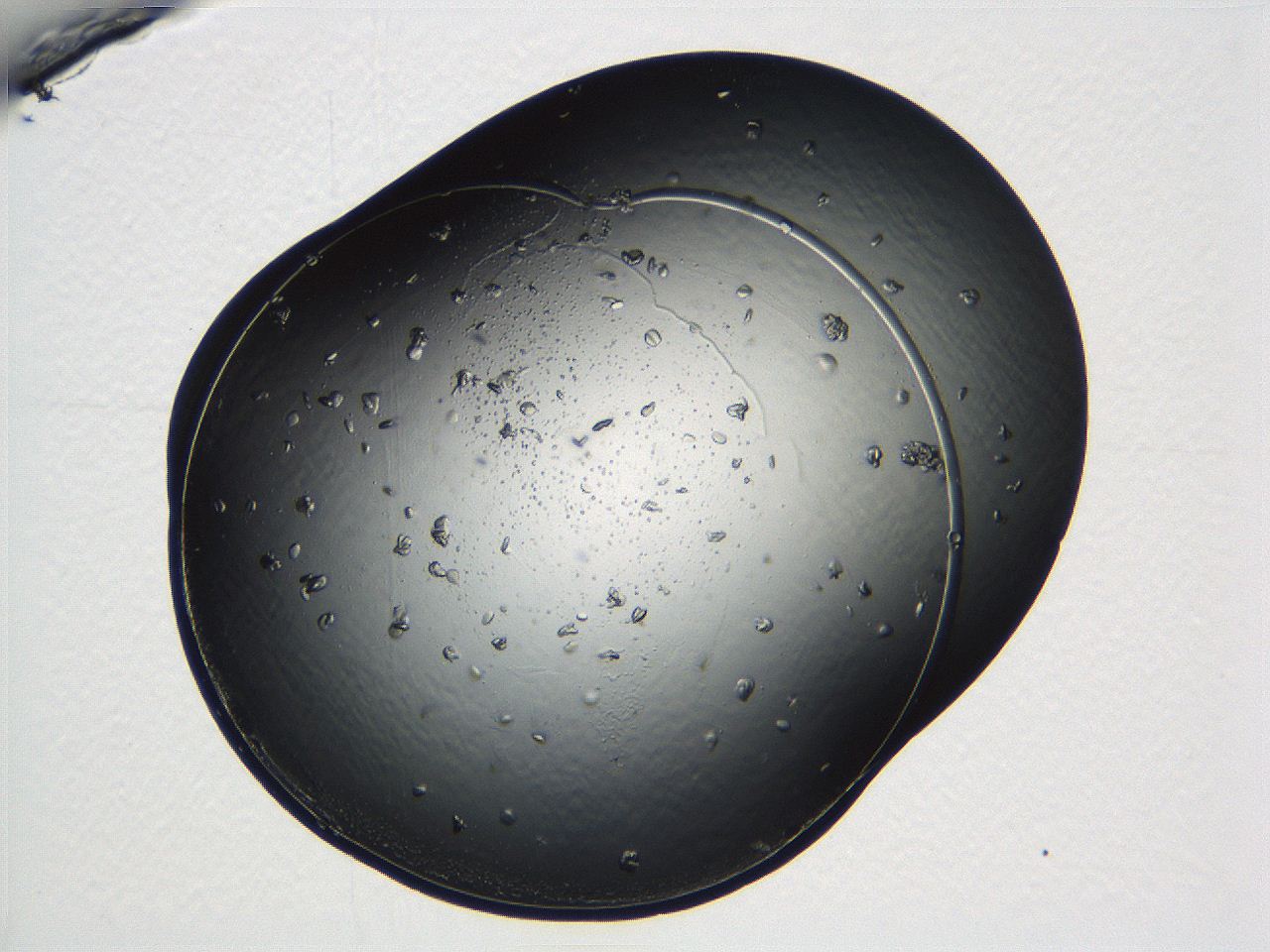 04ug_C6_ImagerDefaults_9.jpg