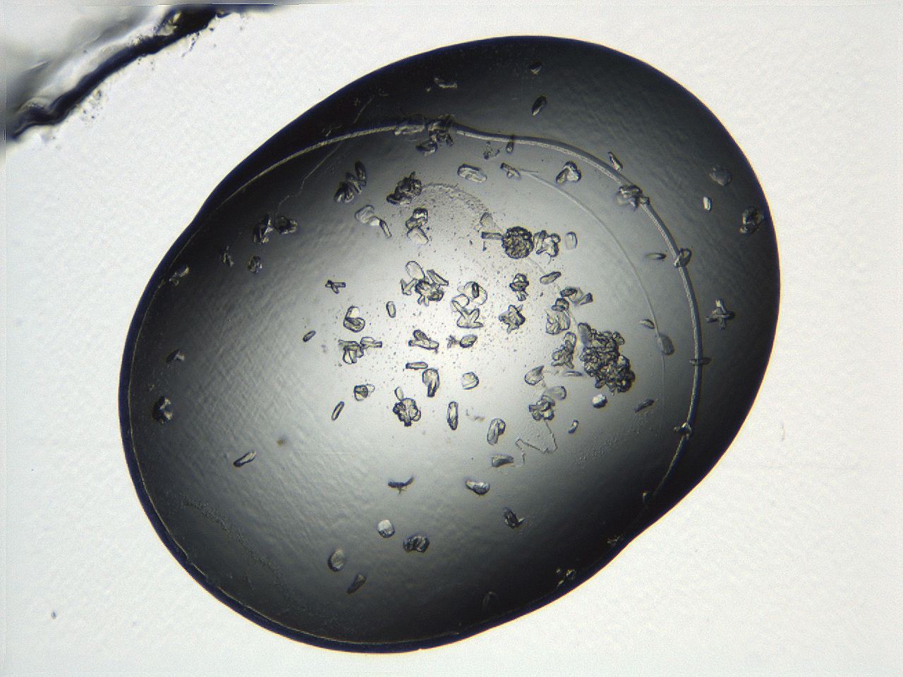 04ug_C7_ImagerDefaults_9.jpg