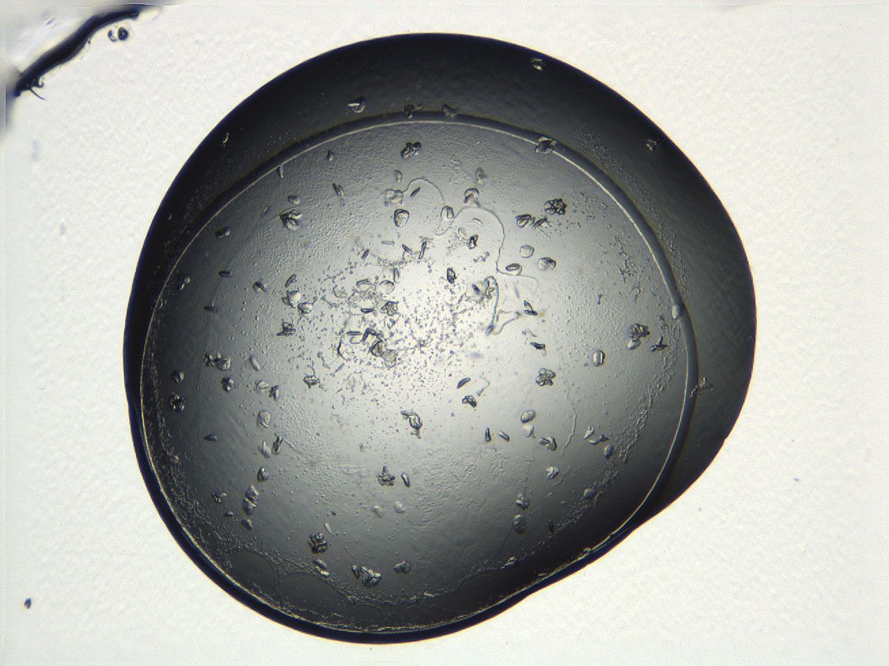 04ug_C8_ImagerDefaults_9.jpg