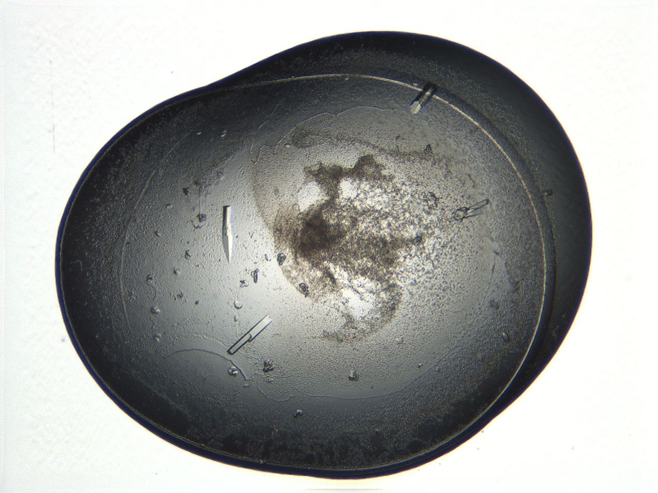 04ug_C10_ImagerDefaults_9.jpg