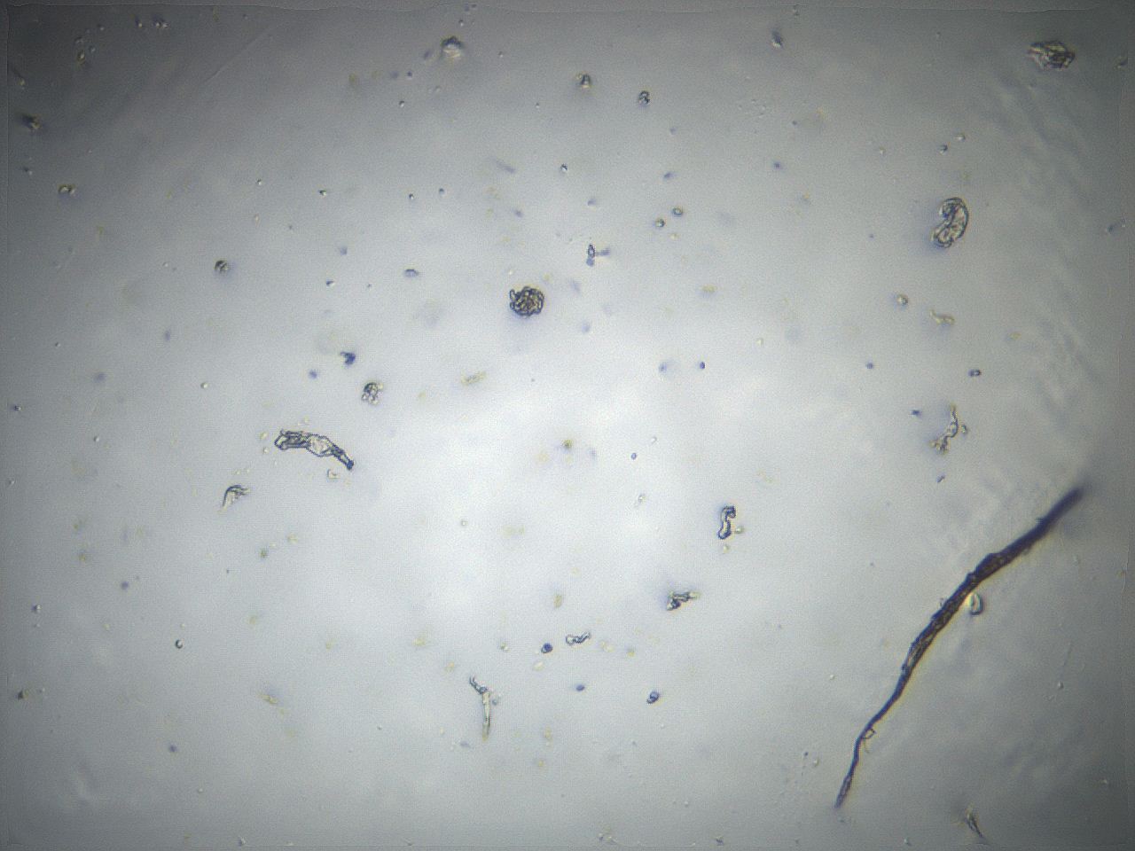 04ug_B1_ImagerDefaults_0.jpg