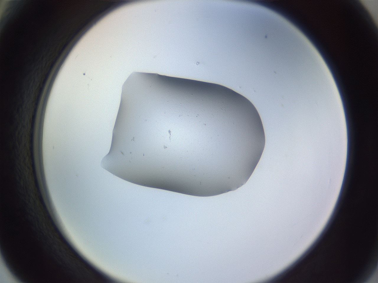 folderID250_plateID3250_batchID18277_wellNum66_profileID1_d2_r285510_ef.jpg