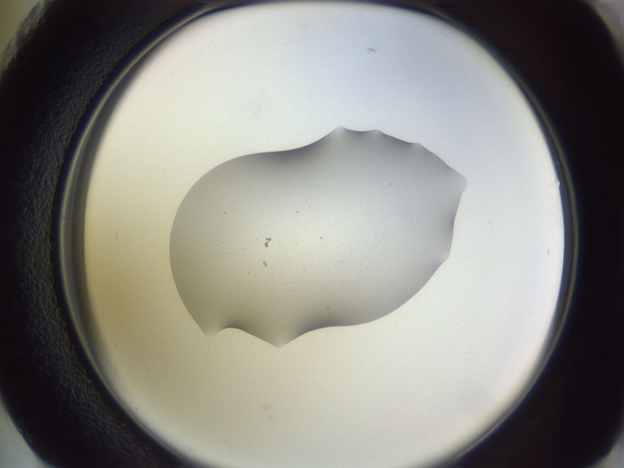 folderID250_plateID3250_batchID18277_wellNum73_profileID1_d2_r285524_ef.jpg