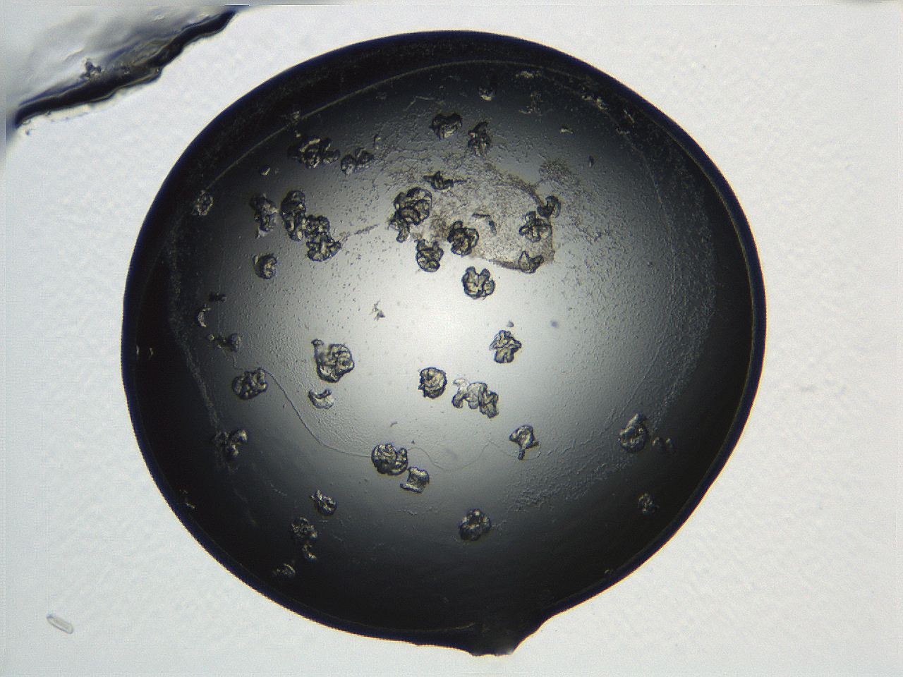 04ug_B11_ImagerDefaults_9.jpg