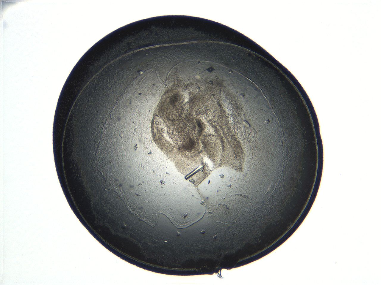 04ug_C11_ImagerDefaults_9.jpg