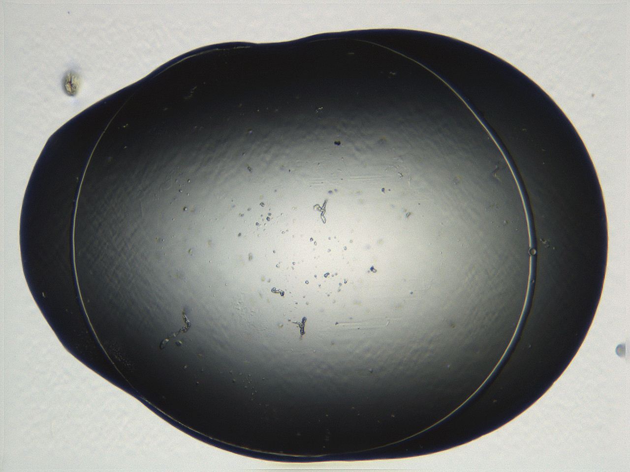04ug_D4_ImagerDefaults_0.jpg