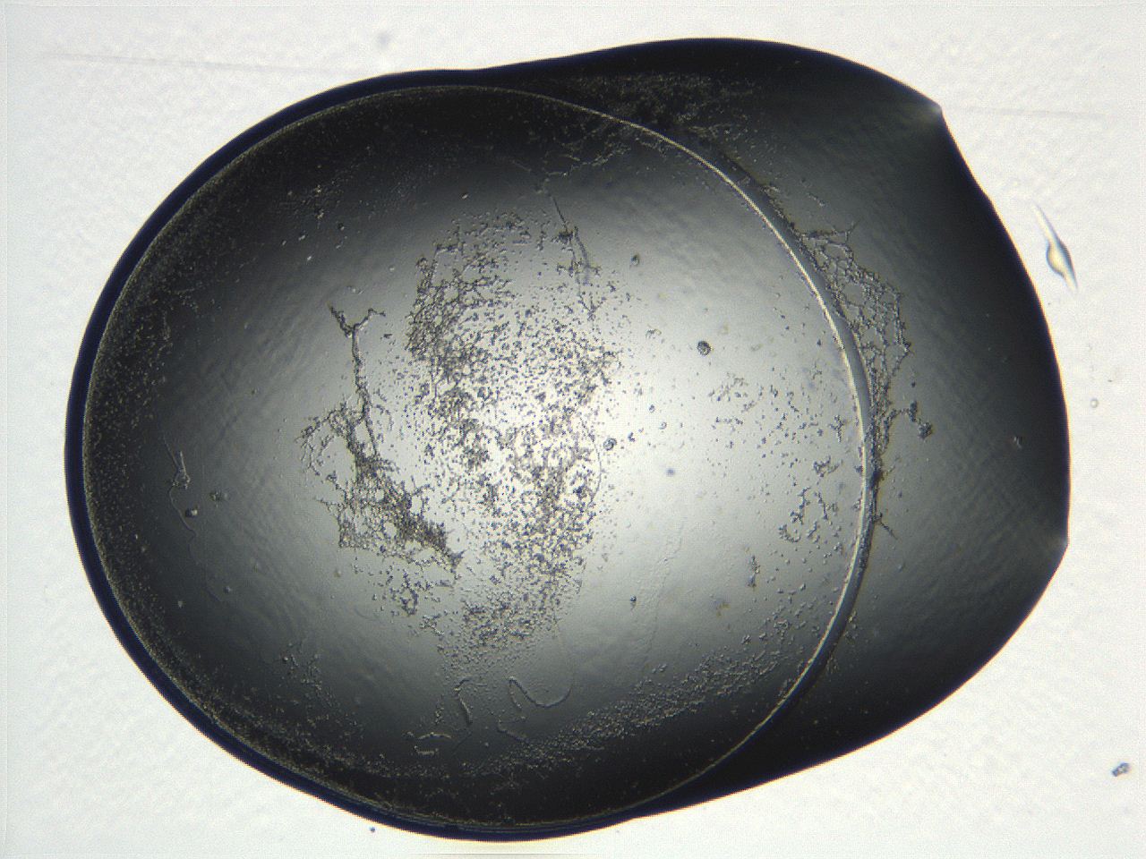 04ug_D7_ImagerDefaults_3.jpg