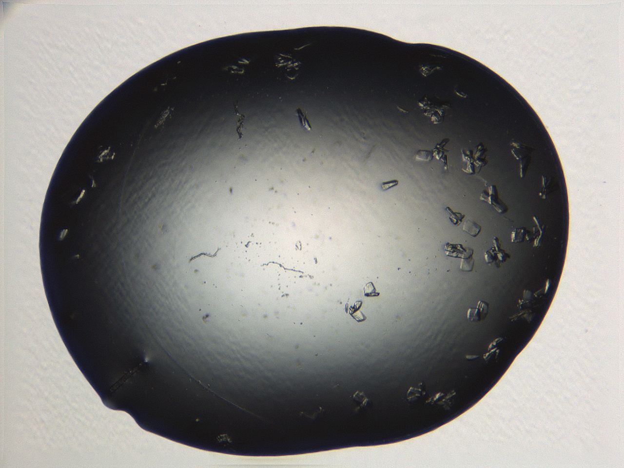 04ug_A4_ImagerDefaults_9.jpg