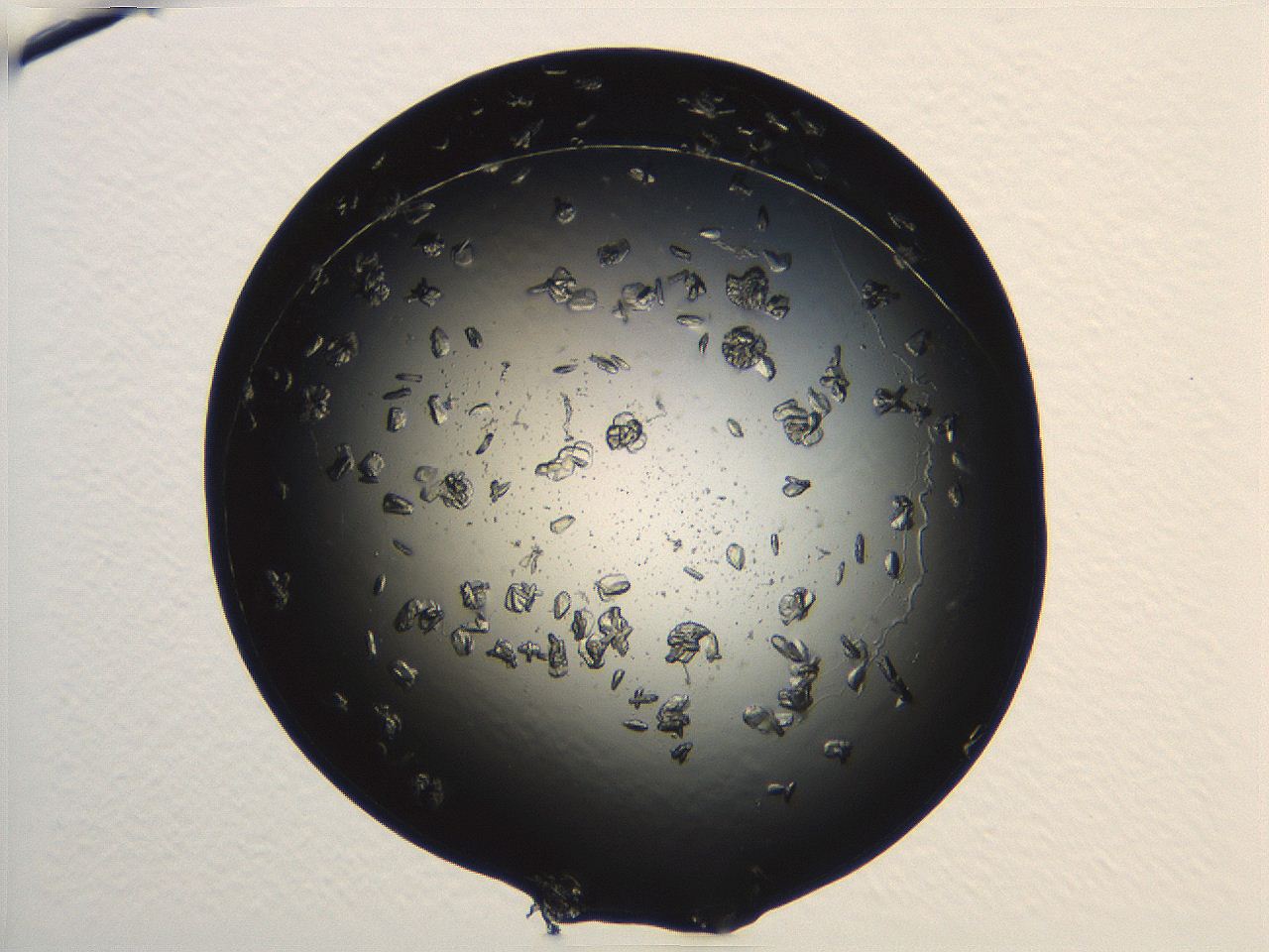 04ug_A7_ImagerDefaults_9.jpg
