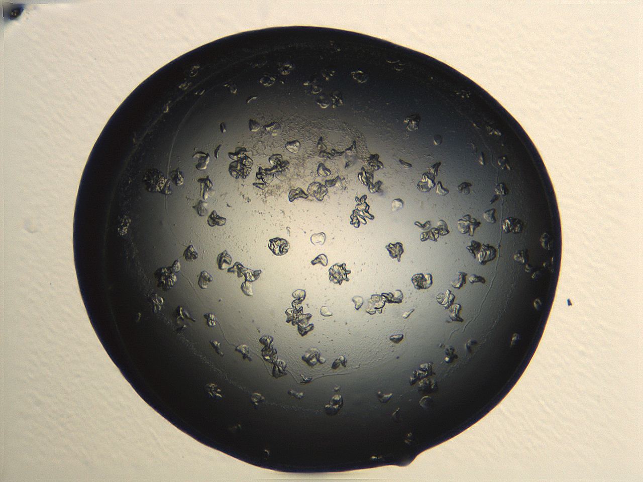04ug_A11_ImagerDefaults_9.jpg