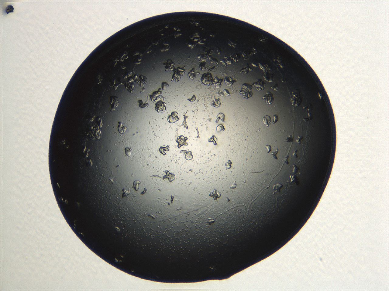 04ug_A12_ImagerDefaults_9.jpg