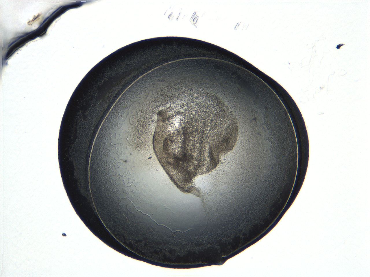 04ug_D10_ImagerDefaults_3.jpg