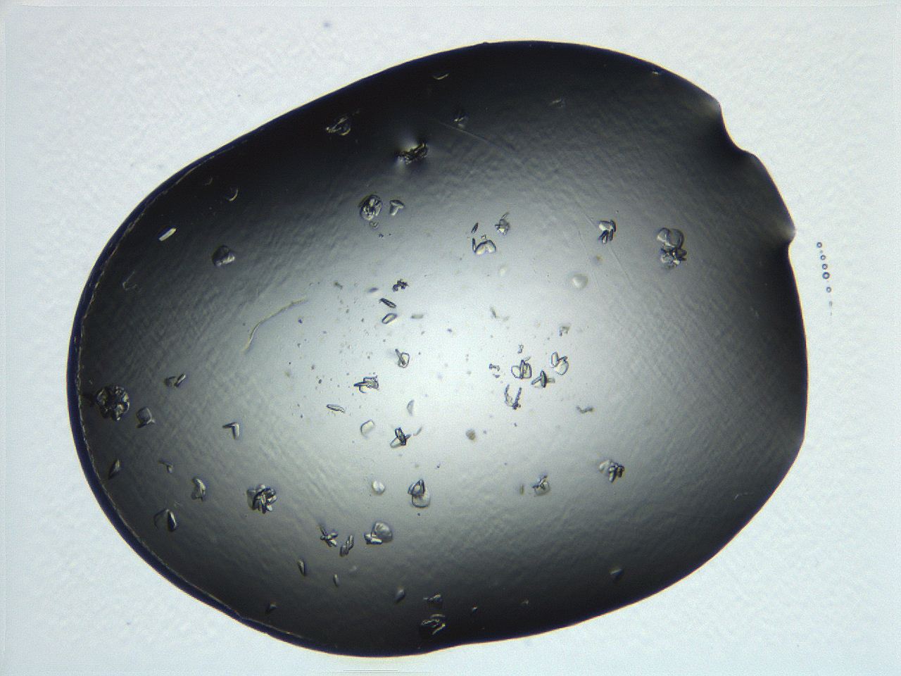 04ug_E2_ImagerDefaults_9.jpg