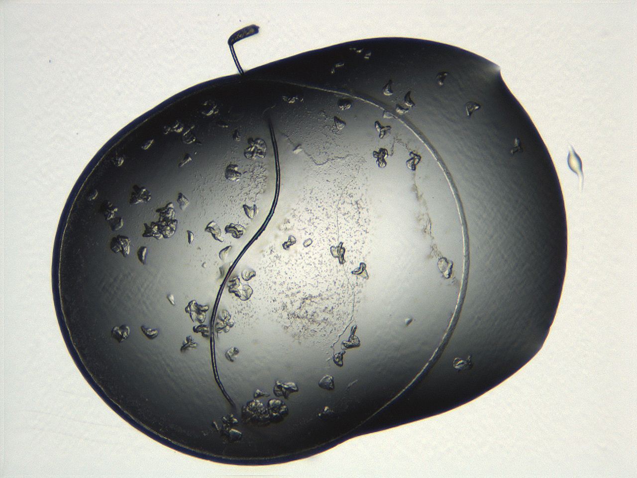 04ug_E7_ImagerDefaults_9.jpg