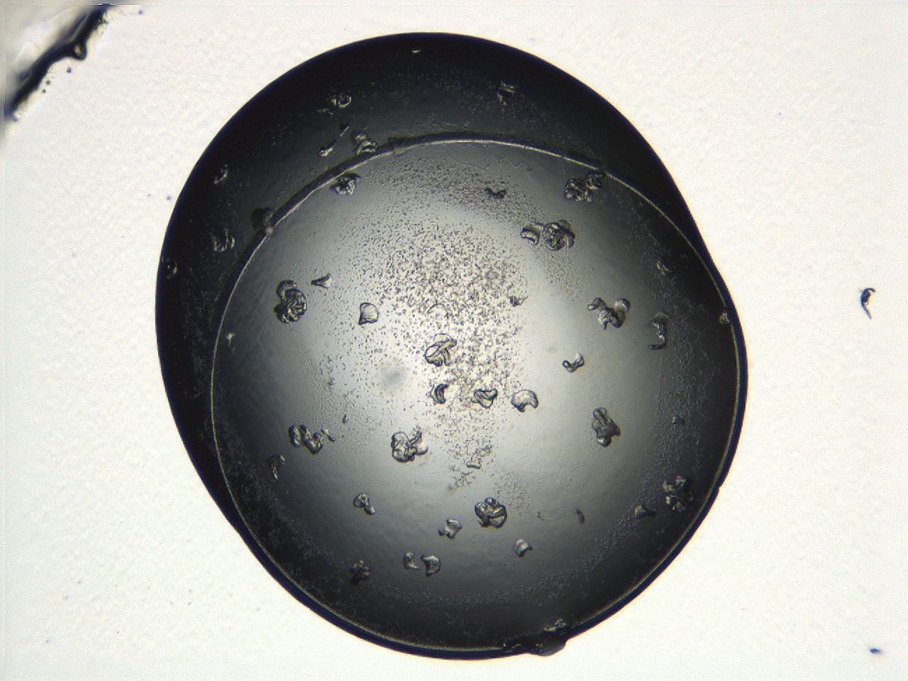 04ug_E8_ImagerDefaults_9.jpg