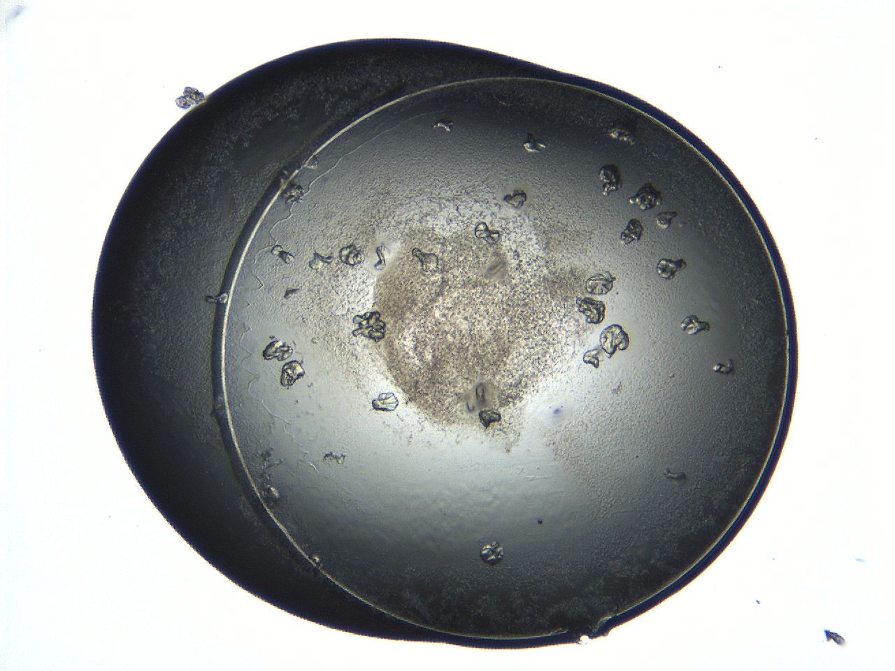 04ug_E10_ImagerDefaults_9.jpg