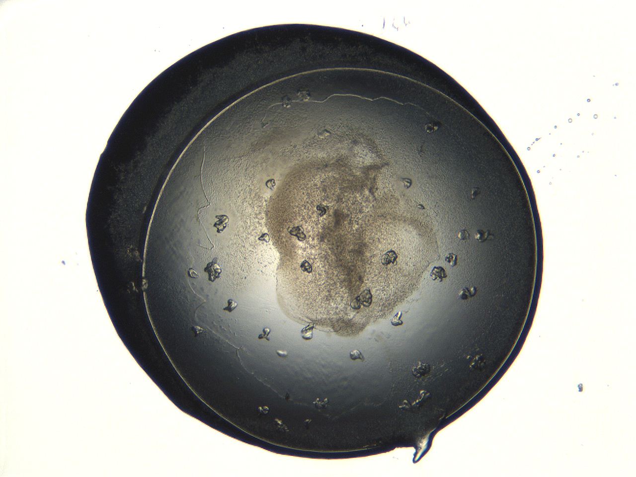 04ug_E11_ImagerDefaults_9.jpg